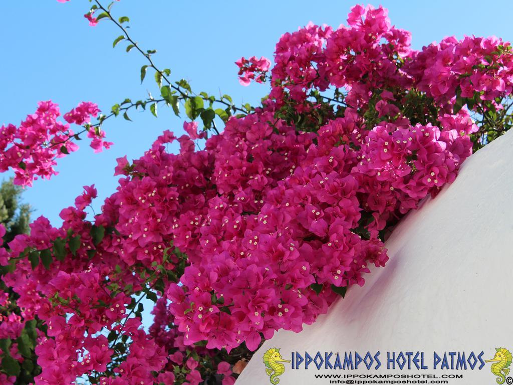 Hotel Ippokampos Skála Exterior foto